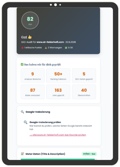 Mockup SEO Audit Mini